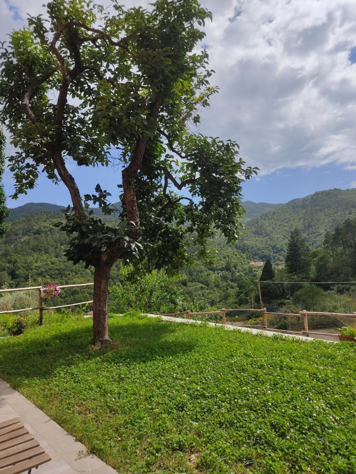 Séjour à la ferme Torsivi Castiglione Chiavarese