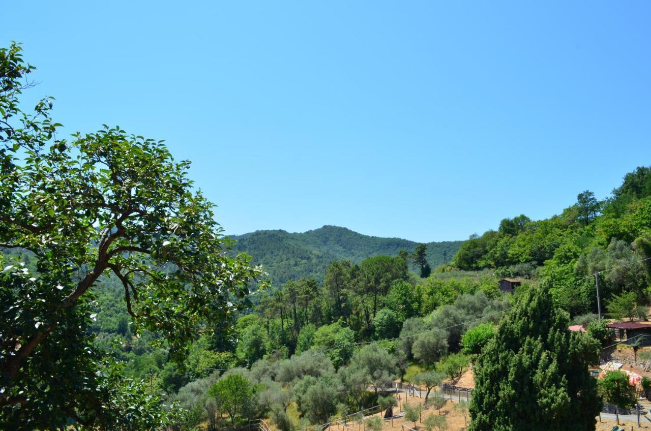 Agriturismo Torsivì Alloggio per agriturismo *